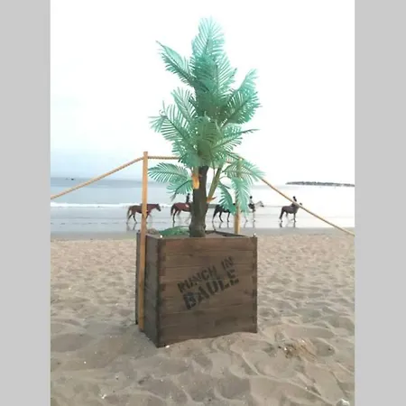 Apartman 5 Pers A 50 M De *