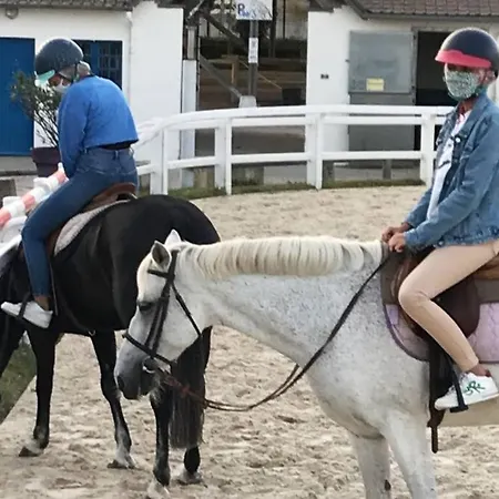 Apartman 5 Pers A 50 M De La Baule