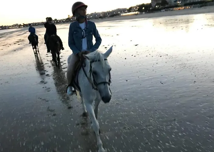 5 Pers A 50 M De Apartamento *